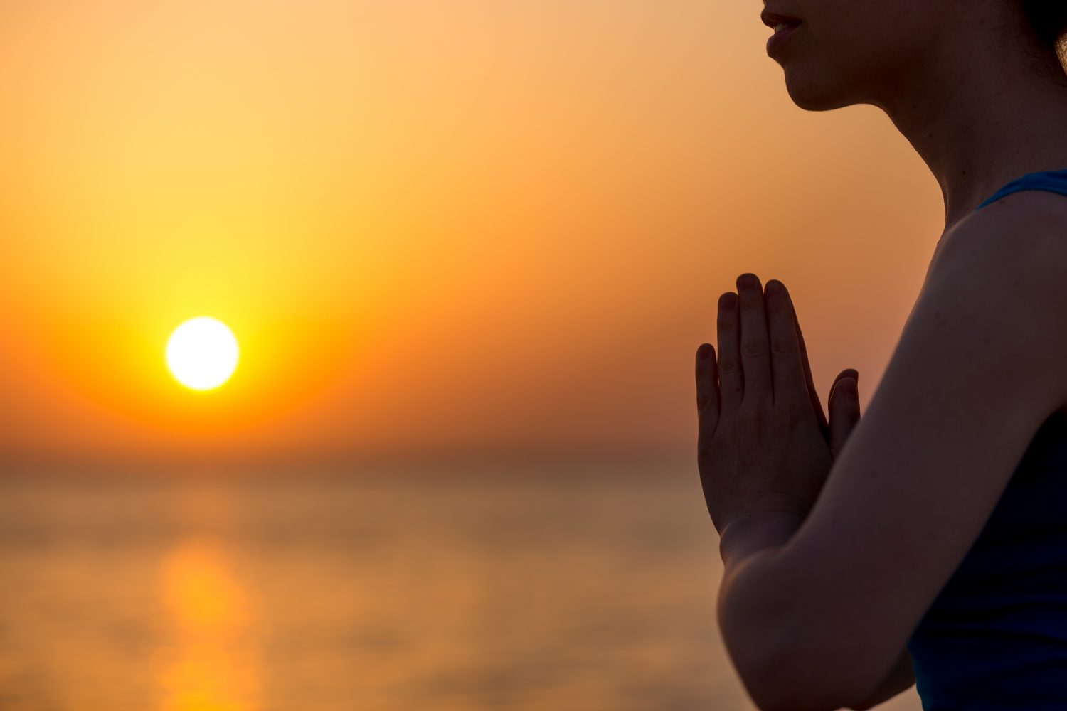 Free Meditation Resource For Limited Time. Get On Board! Namaste Gesture