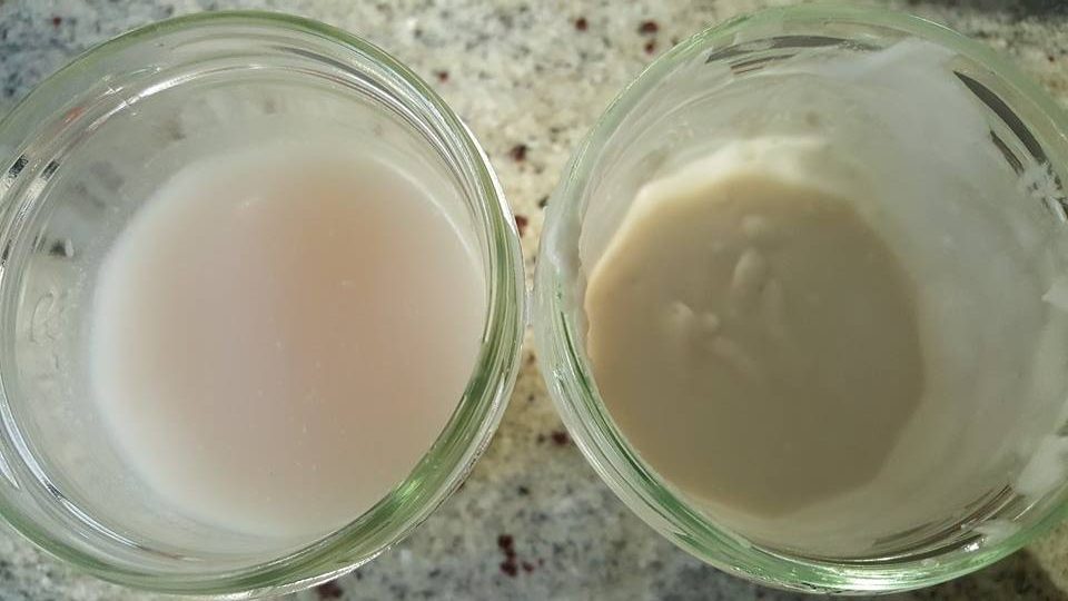Coconut Milk Benefits Weight Loss - coconut milk comparison